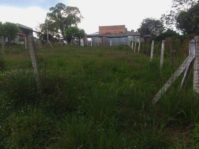 #TO-0102 - Terreno para Venda em Santana do Livramento - RS - 3