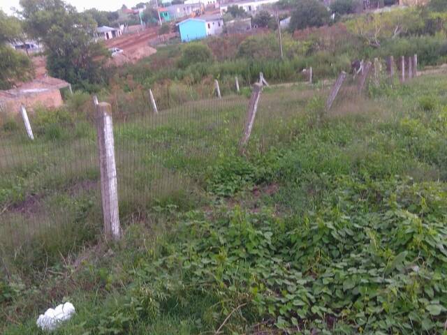 #TO-0102 - Terreno para Venda em Santana do Livramento - RS - 2