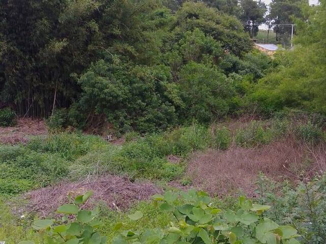 #TO-0103 - Terreno para Venda em Santana do Livramento - RS - 3