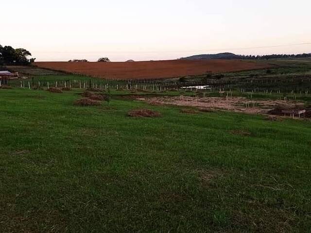 Chácara para Venda em Santana do Livramento - 4