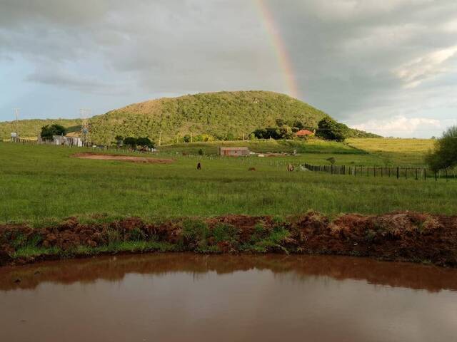 Chácara para Venda em Santana do Livramento - 5