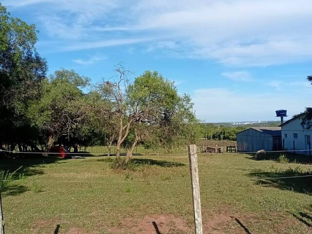 #TO-0106 - Terreno para Venda em Santana do Livramento - RS - 1