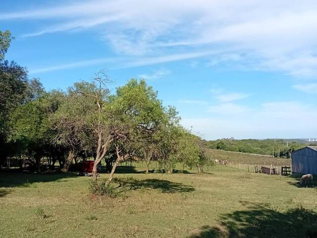 Terreno para Venda em Santana do Livramento - 4