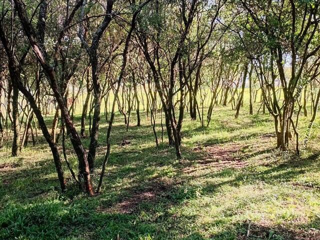 #TO-0107 - Área para Venda em Santana do Livramento - RS - 2
