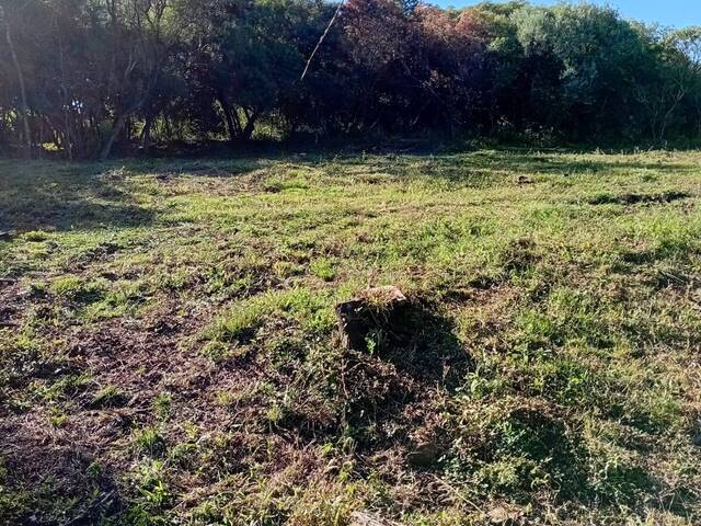 Área para Venda em Santana do Livramento - 5