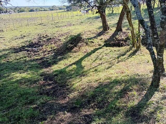 #TO-0108 - Área para Venda em Santana do Livramento - RS - 2