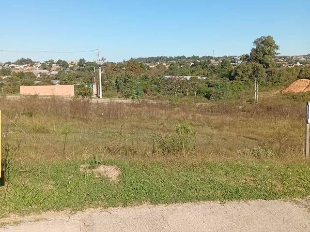 Área para Venda em Santana do Livramento - 5