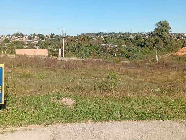 Área para Venda em Santana do Livramento - 4