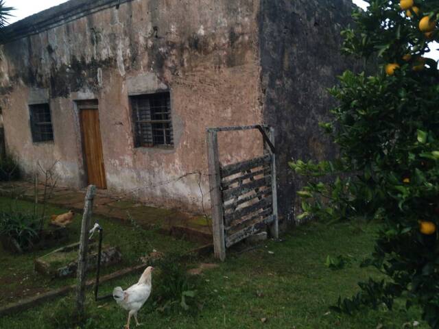 #CH-0103 - Chácara para Venda em Santana do Livramento - RS - 2