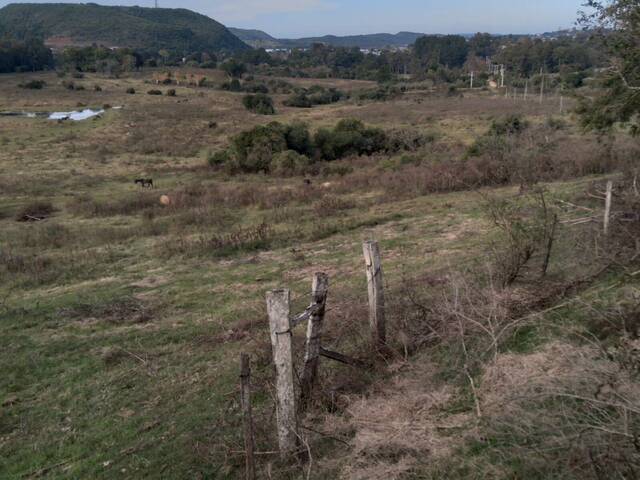 Chácara para Venda em Santana do Livramento - 4