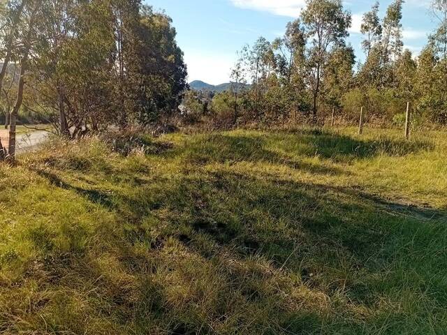 Área para Venda em Santana do Livramento - 2