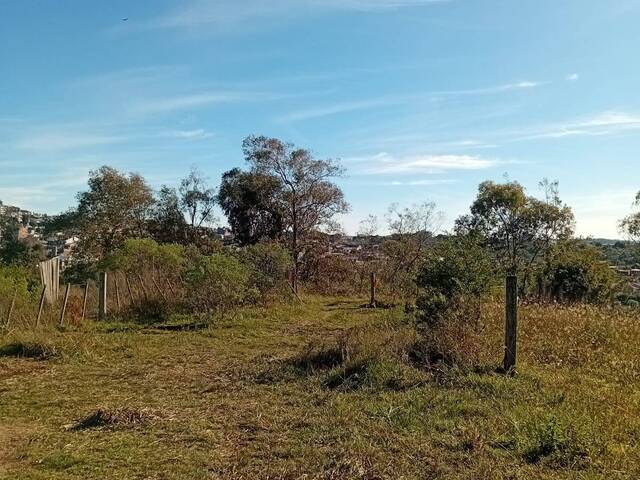 Área para Venda em Santana do Livramento - 4