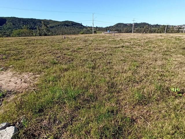 Área para Venda em Santana do Livramento - 2